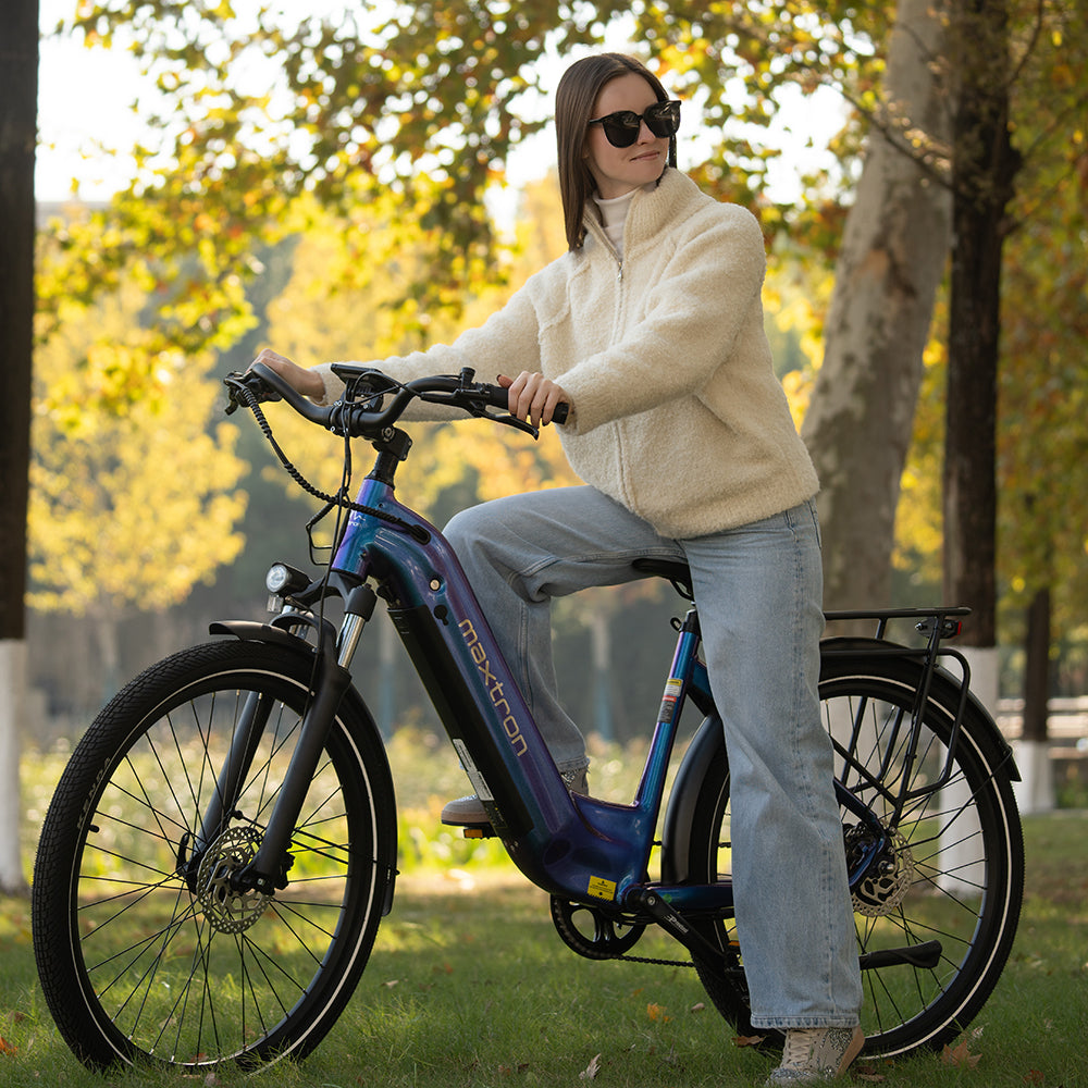 Cityrad OT05 E-Bike Damen Herren 28 Zoll | 120 km, 655 Wh, 7-Gang Shimano